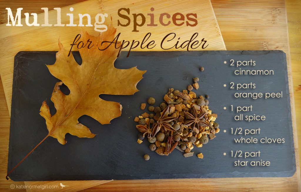 Mulling Spices for Apple Cider from katienormalgirl.com #thanksgiving #fall #autumn #beverages #partyplanning
