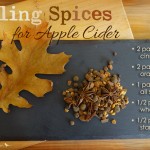Mulling Spices for Apple Cider from katienormalgirl.com #thanksgiving #fall #autumn #beverages #partyplanning