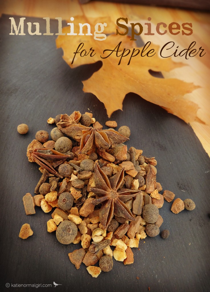 Mulling Spices for Apple Cider from katienormalgirl.com #thanksgiving #fall #autumn #partyplanning #beverages
