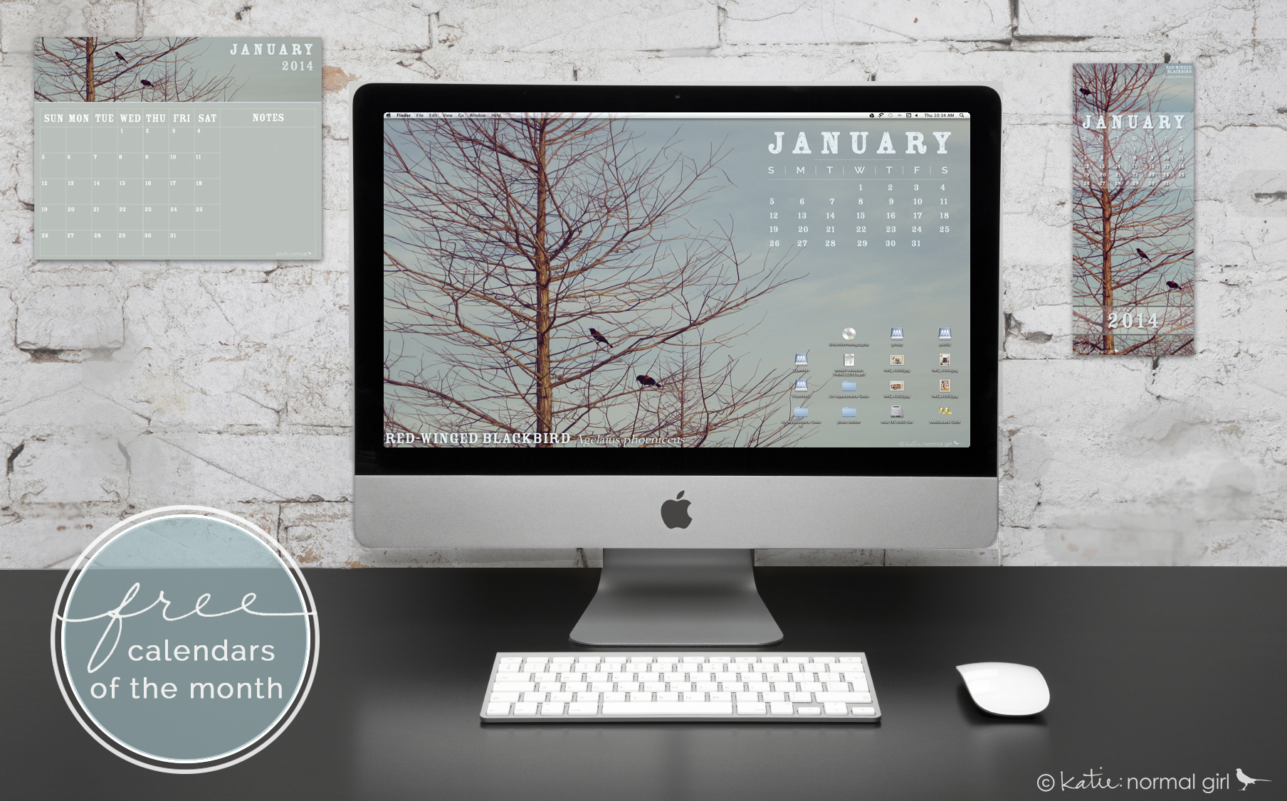 Freebie January calendars from katienormalgirl.com - includes a printable display, printable write-on printable, and digital wallpaper calendars #free #downloads