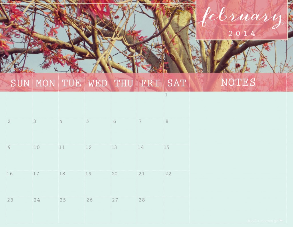 February 2014 Calendar from katienormalgirl.com- printable writeable
