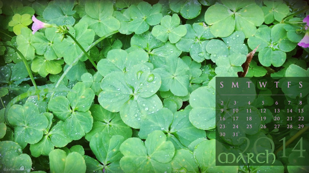 Freebie March calendars and wallpaper from katienormalgirl.com | #free #downloads #calendar