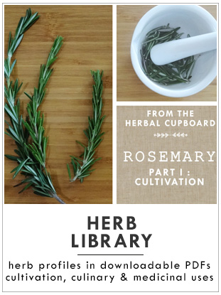 Download Gallery Herb Library from katienormalgirl.com