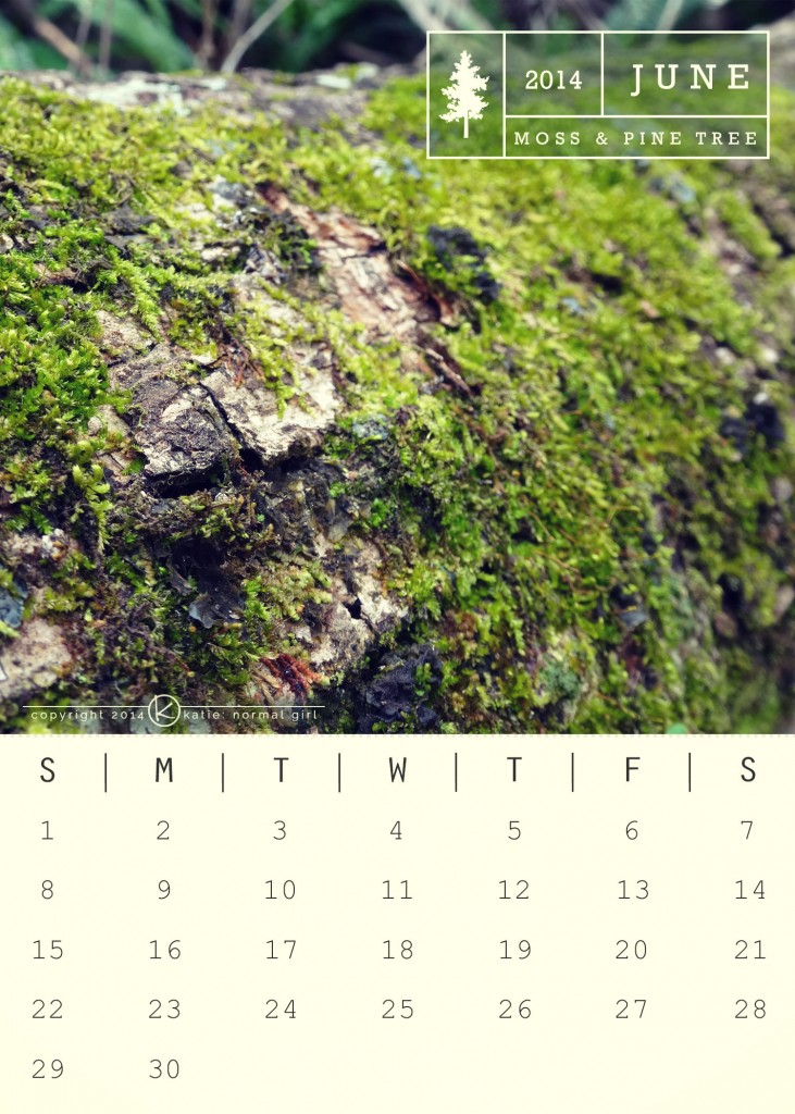 June-2014-Calendar-from-katienormalgirl.com--printable