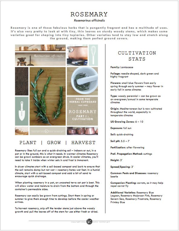 Rosemary herb profile sample - original PDF available in the Download Gallery from katienormalgirl.com
